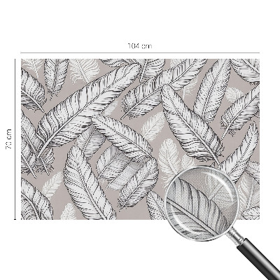 Fototapeta do detskej izby Jemné pierka