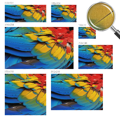 3D fototapeta Dúhové perie