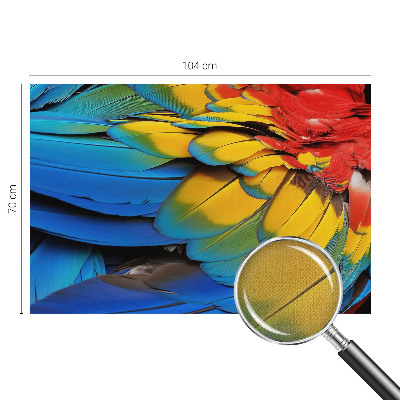 3D fototapeta Dúhové perie