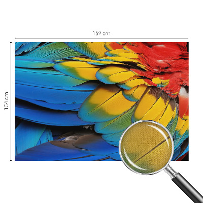 3D fototapeta Dúhové perie