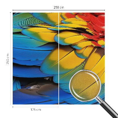 3D fototapeta Dúhové perie