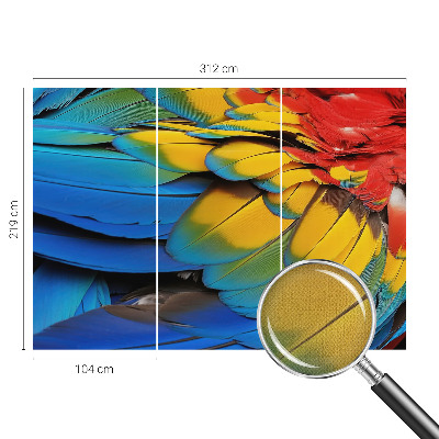 3D fototapeta Dúhové perie