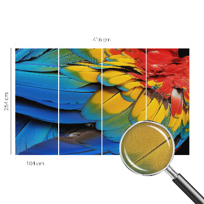 3D fototapeta Dúhové perie