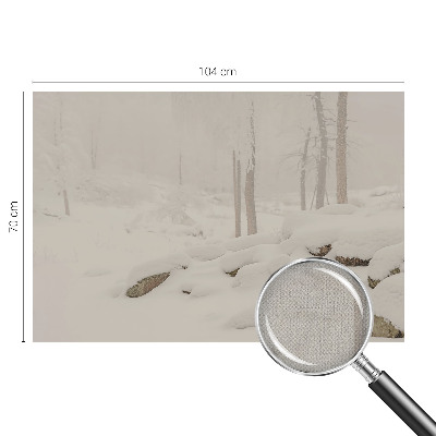 Fotografická tapeta do detskej izby Zasnežený les