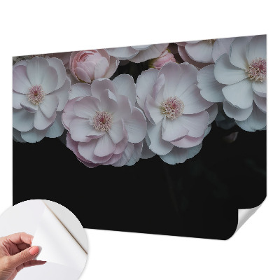 Fototapeta do detskej izby Jemná kytica