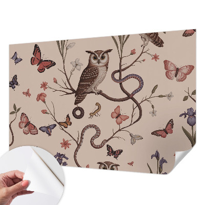 Tapeta do obývačky Sova príroda