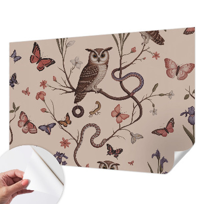 Tapeta do obývačky Sova príroda