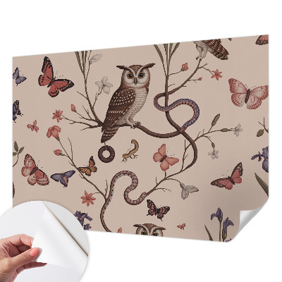 Tapeta do obývačky Sova príroda