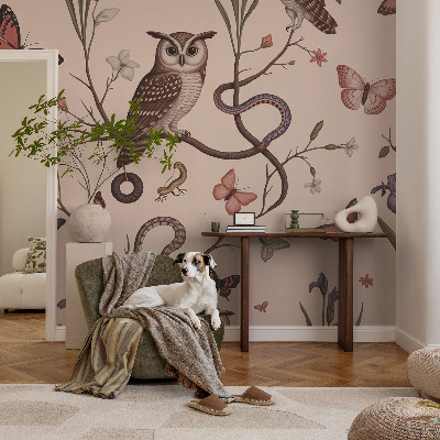 Tapeta do obývačky Sova príroda