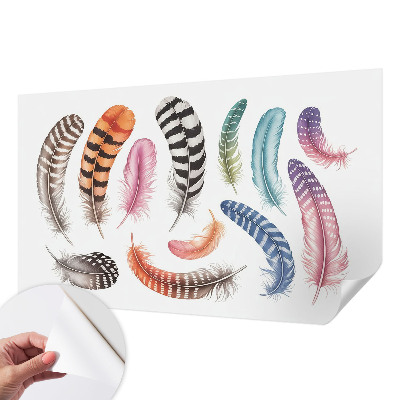 Tapety na stenu samolepiace Pastelové pierka