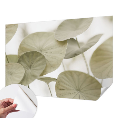 Samolepiaca fototapeta do detskej izby Prirodzená elegancia