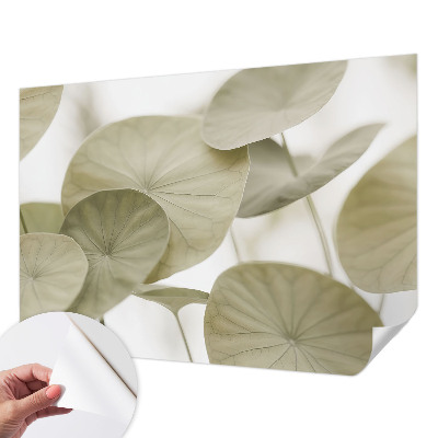 Samolepiaca fototapeta do detskej izby Prirodzená elegancia