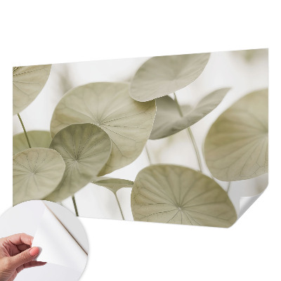 Samolepiaca fototapeta do detskej izby Prirodzená elegancia