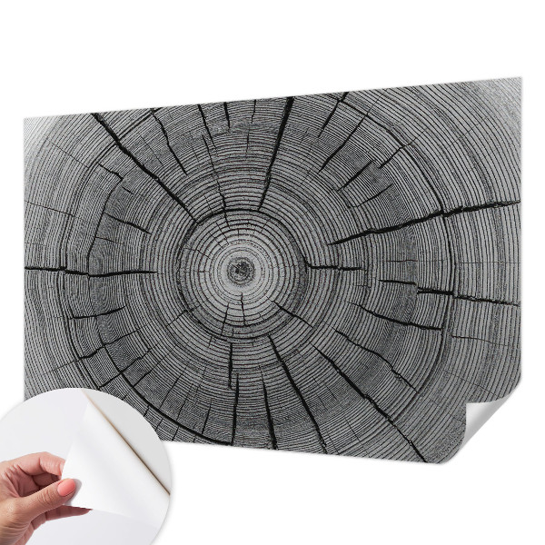 Samolepiaca fototapeta Lesná harmónia