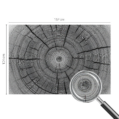 Samolepiaca fototapeta Lesná harmónia