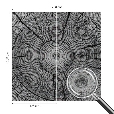 Samolepiaca fototapeta Lesná harmónia