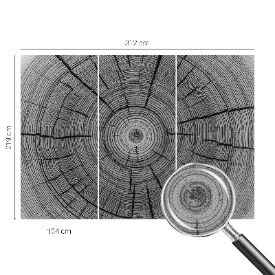 Samolepiaca fototapeta Lesná harmónia