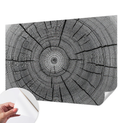 Samolepiaca fototapeta Lesná harmónia