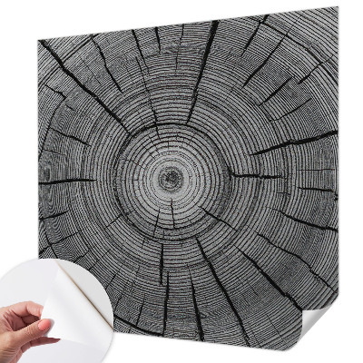 Samolepiaca fototapeta Lesná harmónia