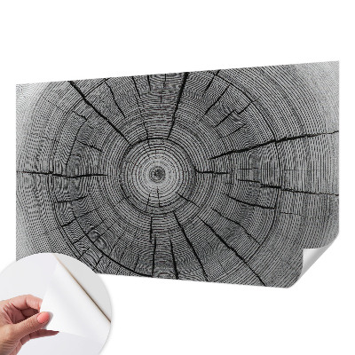 Samolepiaca fototapeta Lesná harmónia