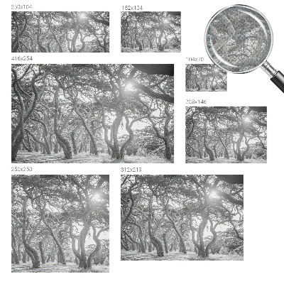 Moderná tapeta na stenu Atmosférický les