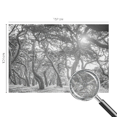 Moderná tapeta na stenu Atmosférický les