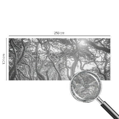 Moderná tapeta na stenu Atmosférický les