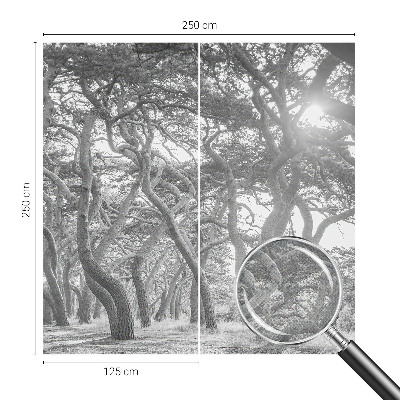 Moderná tapeta na stenu Atmosférický les