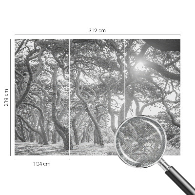 Moderná tapeta na stenu Atmosférický les