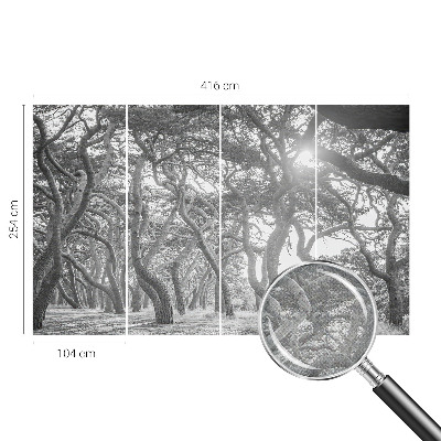 Moderná tapeta na stenu Atmosférický les