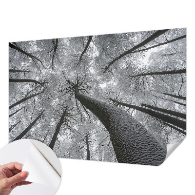 Fotografická tapeta samolepiaca s motívom zimnej krajiny
