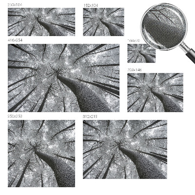 Fotografická tapeta samolepiaca Zimná krajina