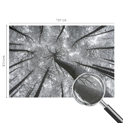 Fotografická tapeta samolepiaca Zimná krajina