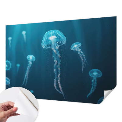 Samolepiaca fototapeta do detskej izby Námorná elegancia