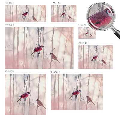 Fotografická tapeta do detskej izby Vtáčí pár