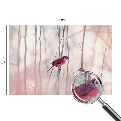 Fotografická tapeta do detskej izby Vtáčí pár