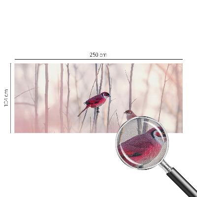 Fotografická tapeta do detskej izby Vtáčí pár