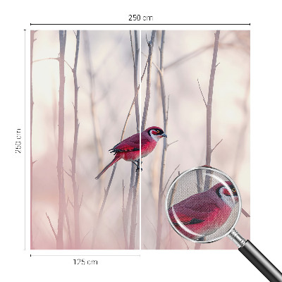 Fotografická tapeta do detskej izby Vtáčí pár