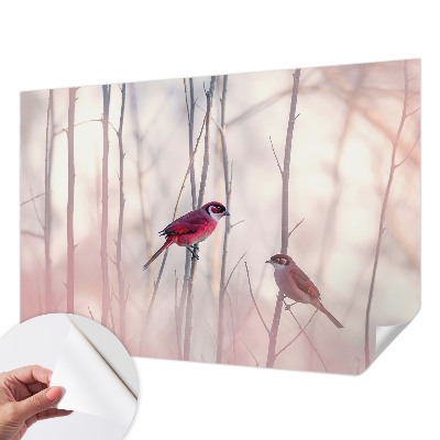 Fotografická tapeta do detskej izby Vtáčí pár