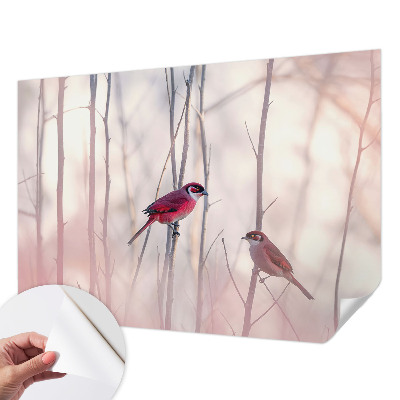 Fotografická tapeta do detskej izby Vtáčí pár