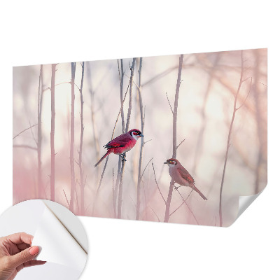 Fotografická tapeta do detskej izby Vtáčí pár