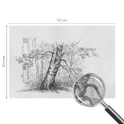 Fototapeta pre chlapca Lesný strom