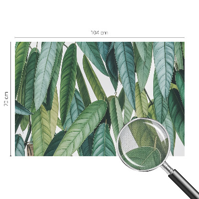 Fototapeta pre dievča Prírodné listy