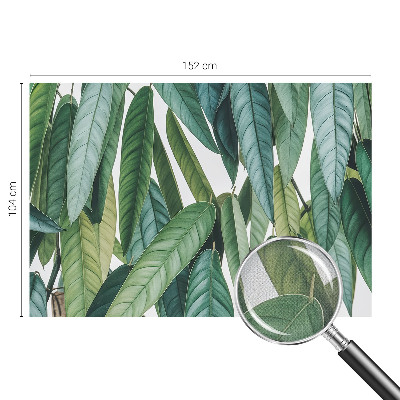 Fototapeta pre dievča Prírodné listy