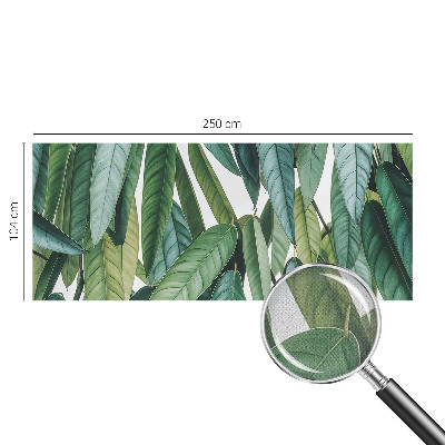 Fototapeta pre dievča Prírodné listy