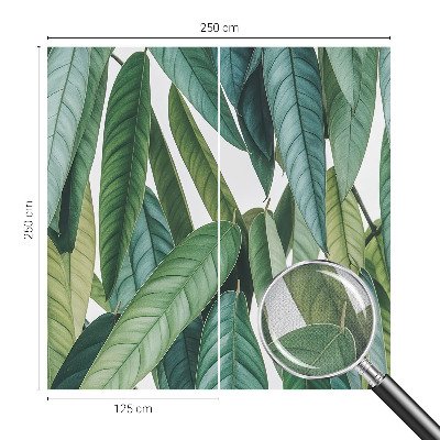 Fototapeta pre dievča Prírodné listy