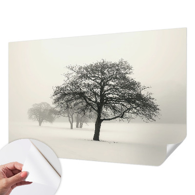 Samolepiaca fototapeta so zimným motívom stromov