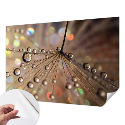 Fototapeta do detskej izby Perlové kvapky