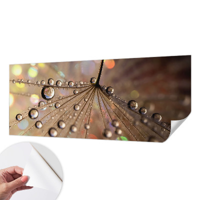 Fototapeta do detskej izby Perlové kvapky