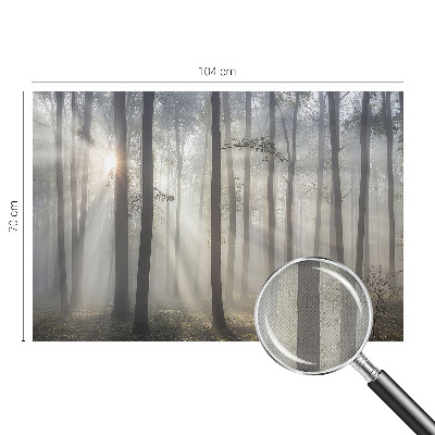 Tapeta do obývačky Éterický les